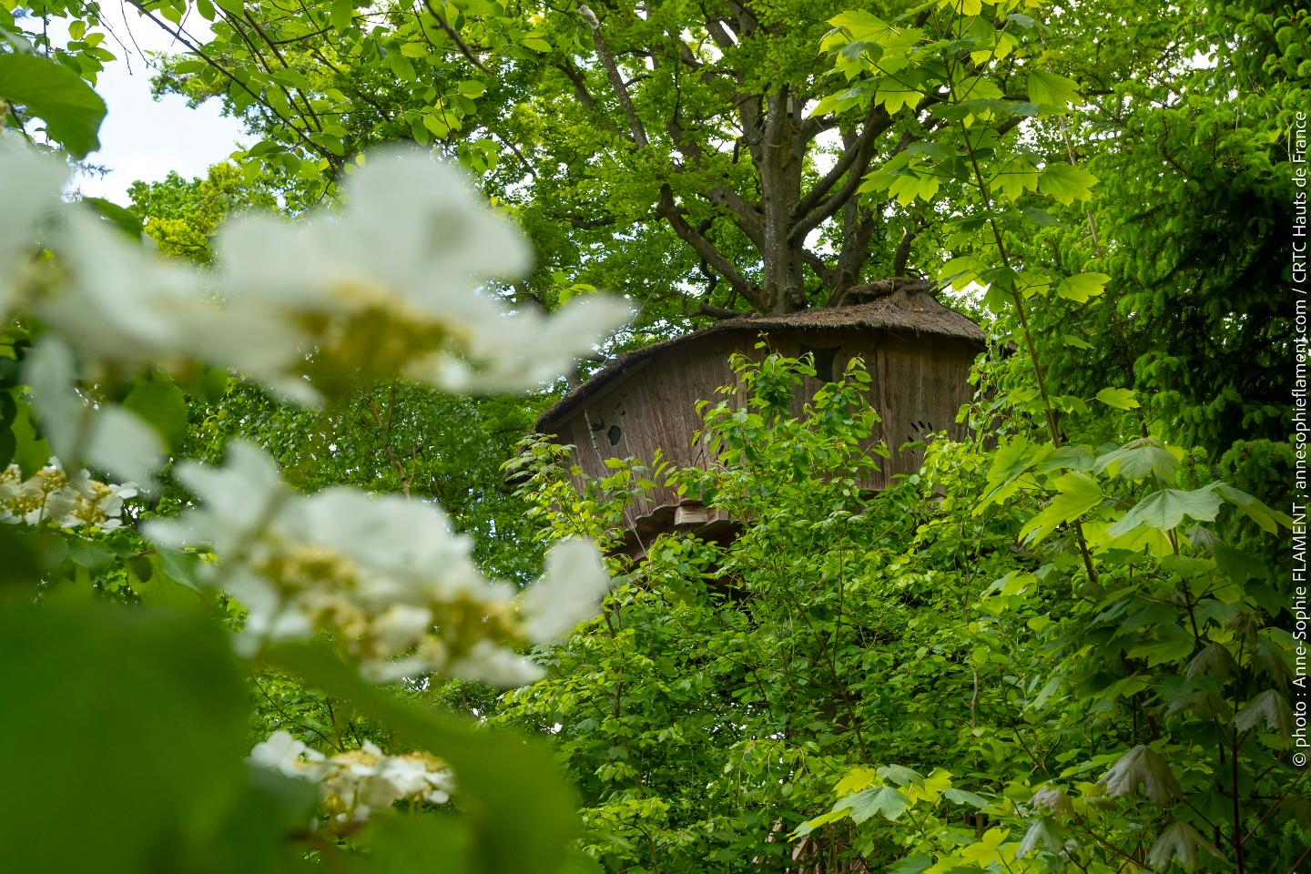 orderedImageAlt_accommodation_default