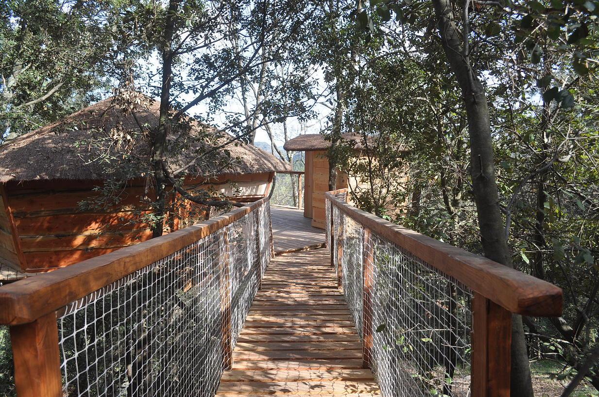 orderedImageAlt_accommodation_default