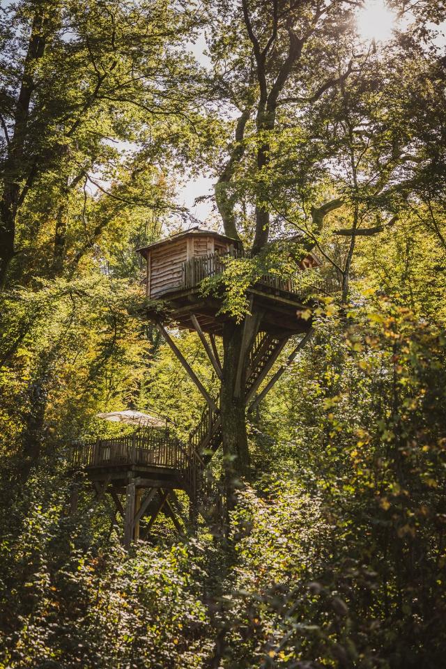 orderedImageAlt_accommodation_default