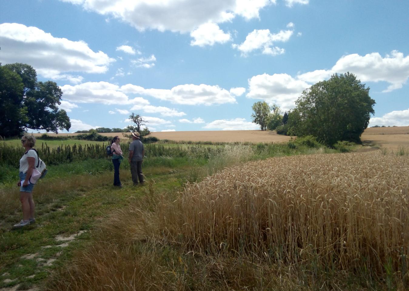 GreenGo Location Île-de-France Évasion