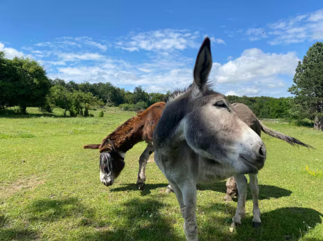 GreenGo location vacances écoresponsables