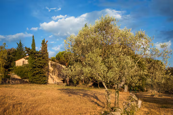 GreenGo Chambre d’hôtes Provence-Alpes-Côte d'Azur À la campagne