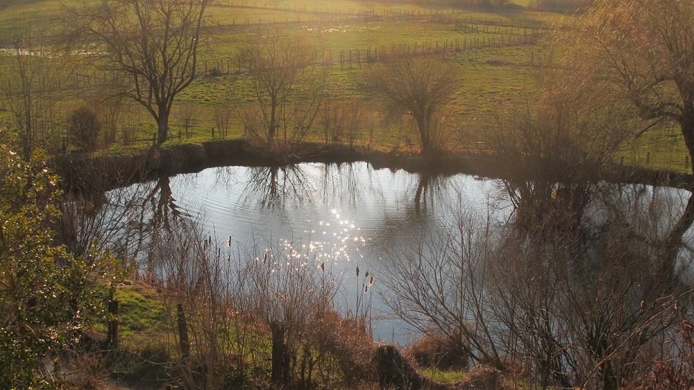 Hôte GreenGo: Gîte de la Source - Image 31