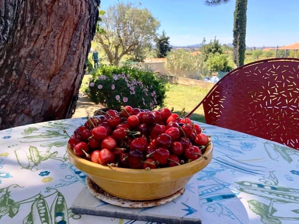 Hôte GreenGo: Chambre chez l'habitant dans un cabanon marseillais - Image 13