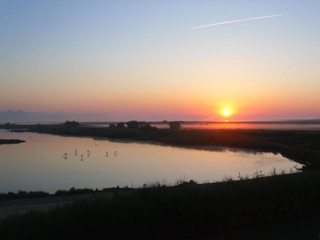 Hôte GreenGo: Chambres les Flamants avec vue sur les étangs