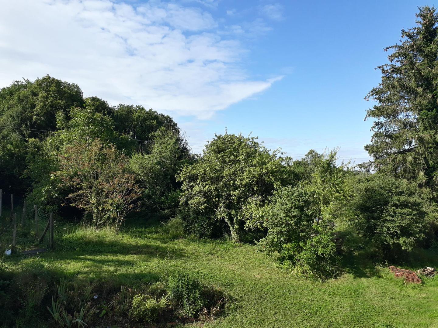 Logement GreenGo: Au coeur de la campagne - Image 8