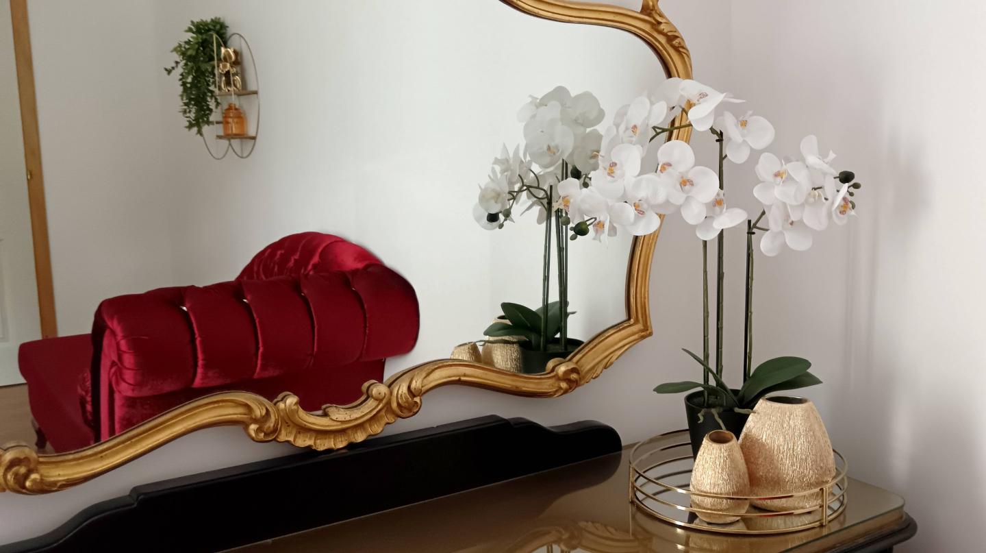 GreenGo Location Grand Est Évasion