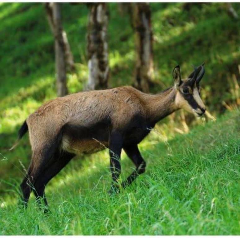 GreenGo Location Auvergne-Rhône-Alpes À la campagne
