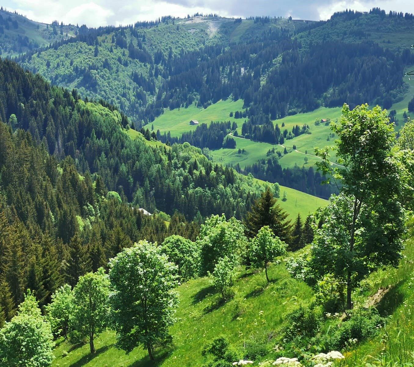 GreenGo Chalet d'alpage du Drayon