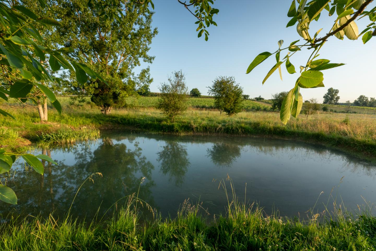 Logement GreenGo: Country home at winery Chateau Camponac - Image 12