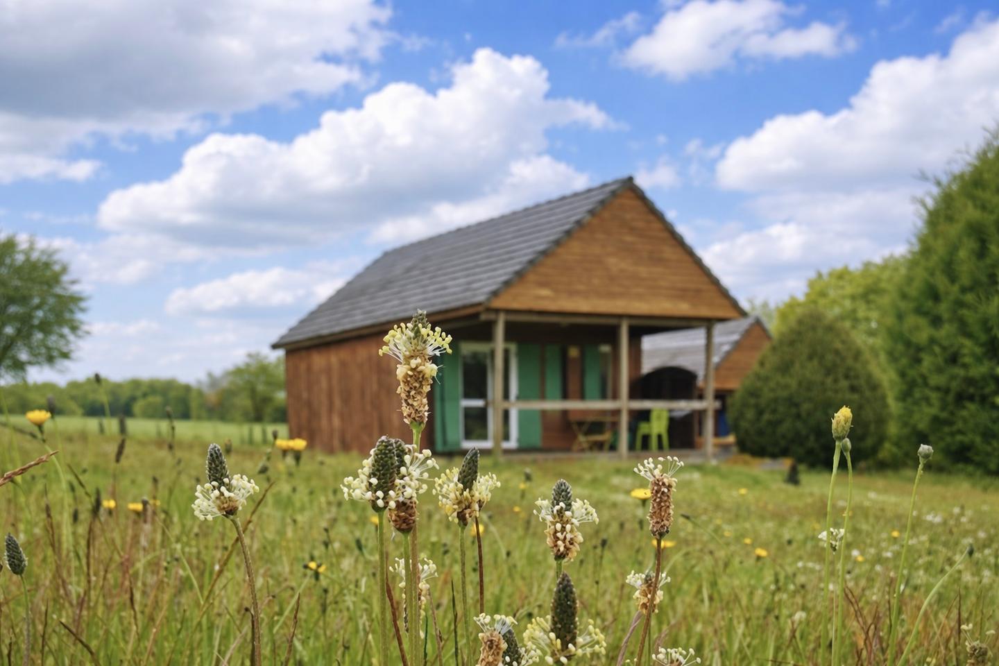 orderedImageAlt_accommodation_default