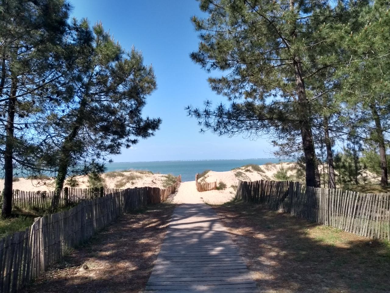 Loup de mer