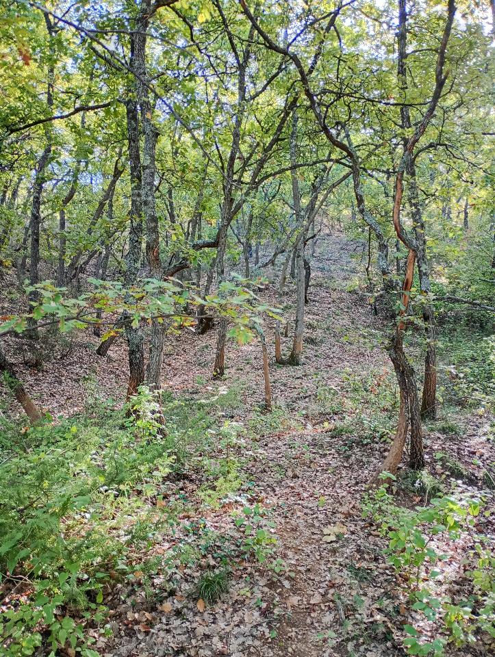 GreenGo location vacances écoresponsables