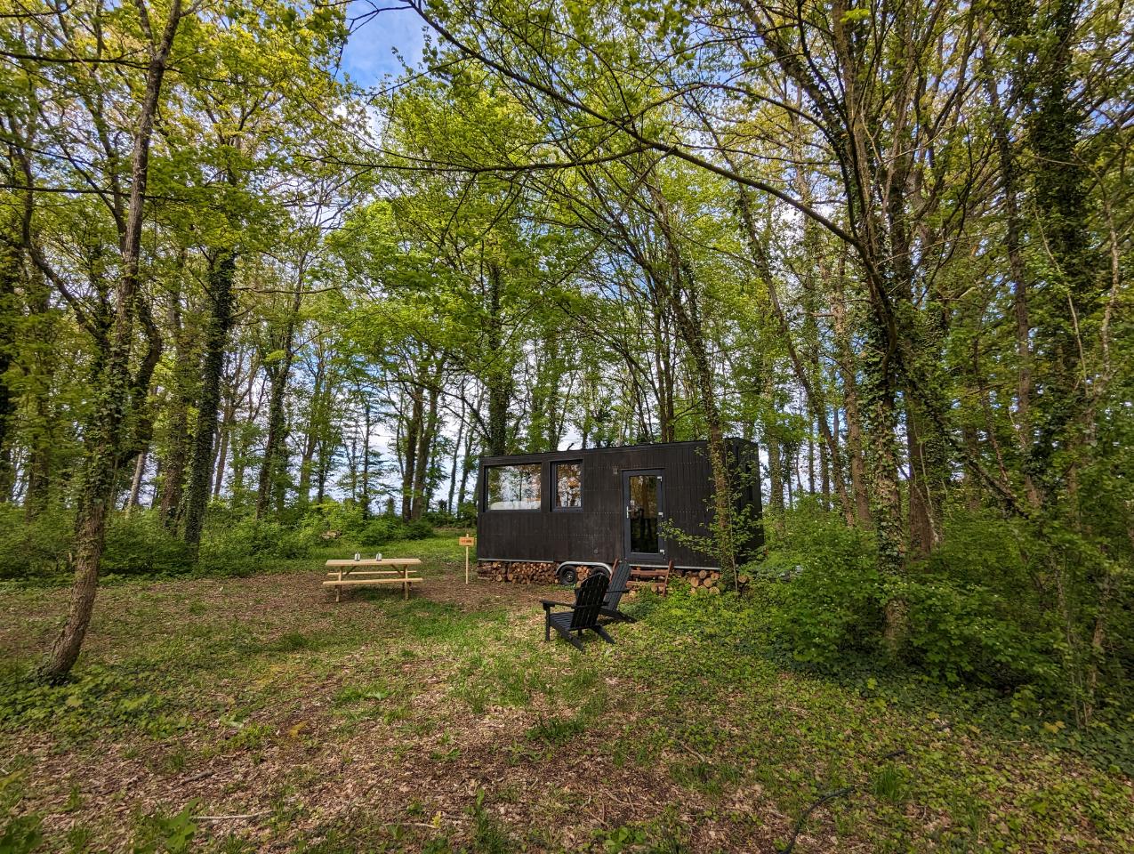 Hôte GreenGo: Tiny House La Clairière | Au coeur de la forêt ! - Image 14