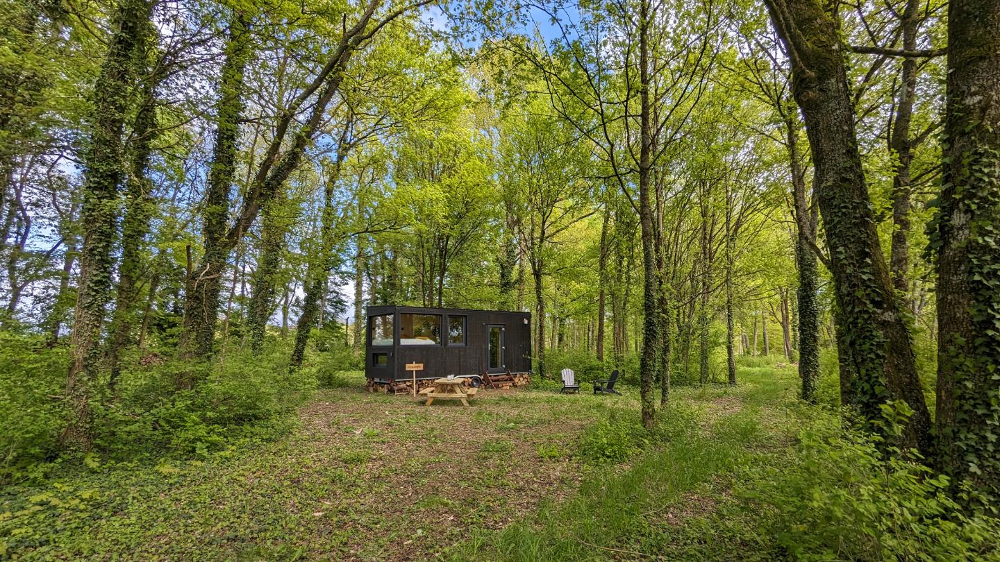 Hôte GreenGo: Tiny House La Clairière | Au coeur de la forêt ! - Image 9