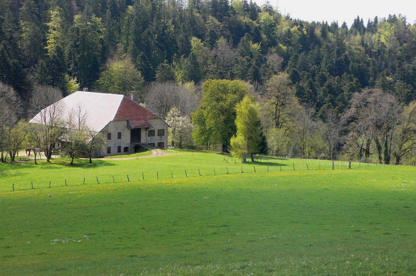 orderedImageAlt_accommodation_default