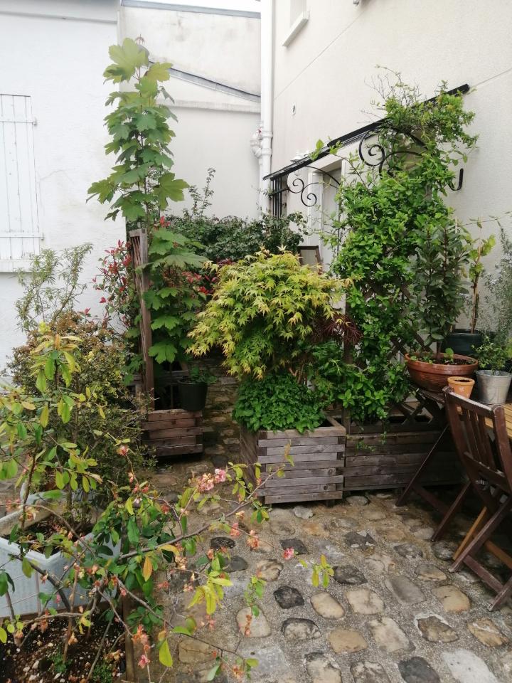 GreenGo Le triangle d'or