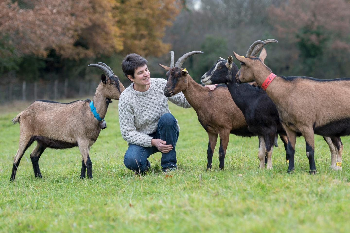 Hôte GreenGo: Gîte la chèvrerie du Jardin de Gaîa - Image 5
