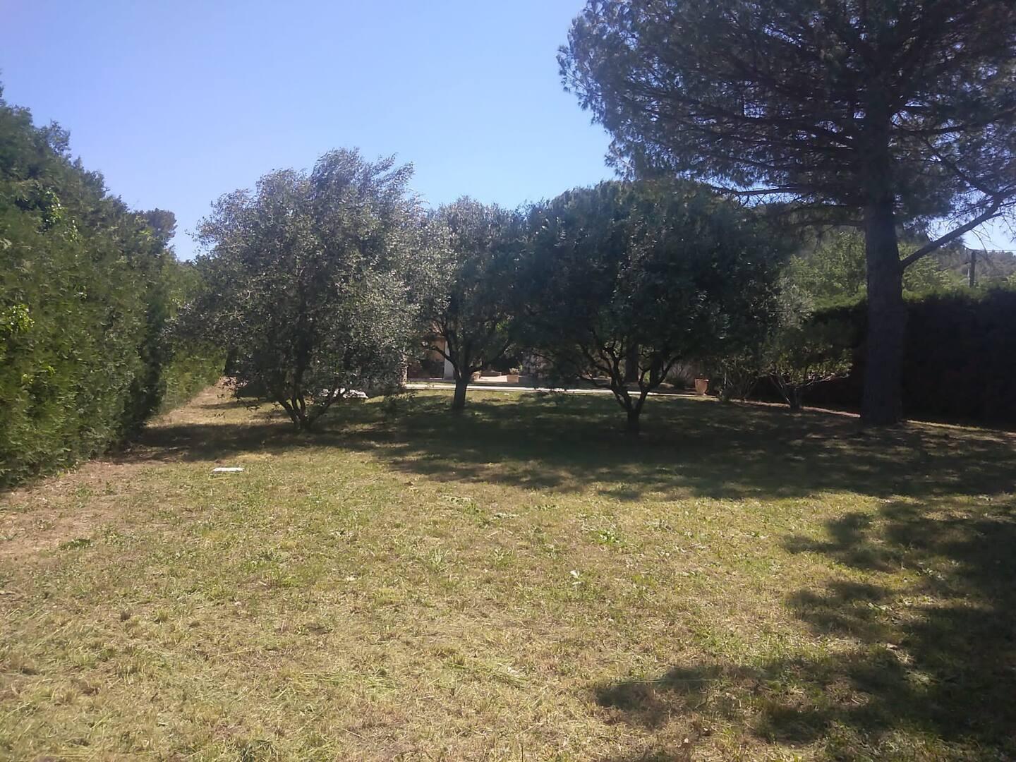 Hôte GreenGo: Villa provençale avec piscine et grand jardin - Image 5