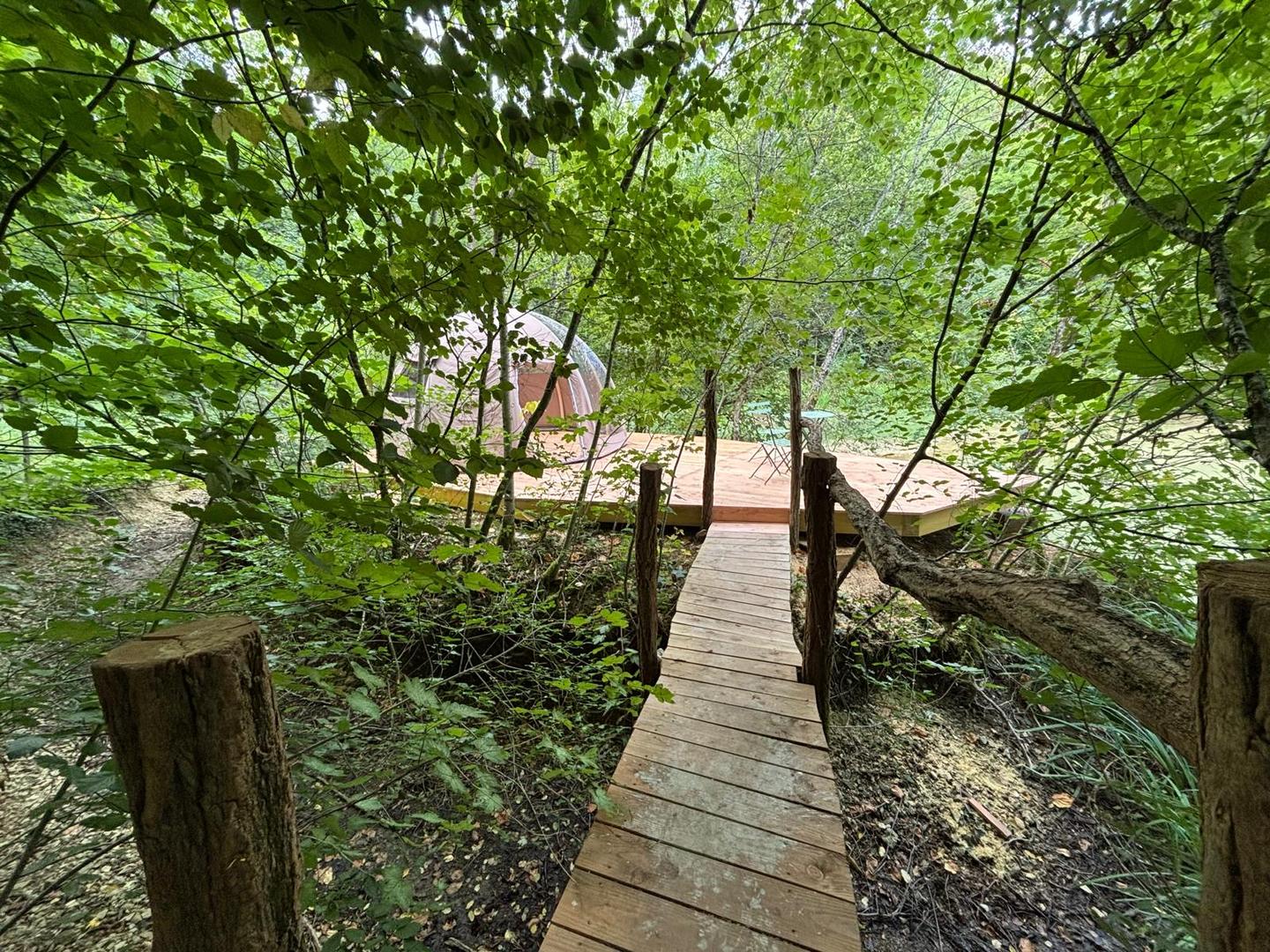 Carte cadeau GreenGo