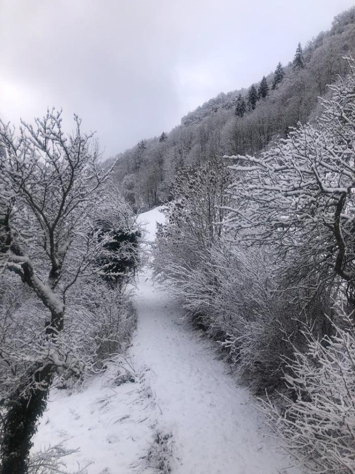 GreenGo Location Auvergne-Rhône-Alpes Évasion