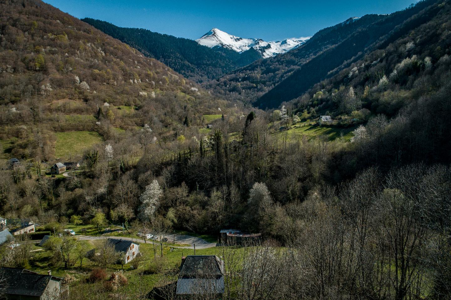 GreenGo Au pied de la Calabasse