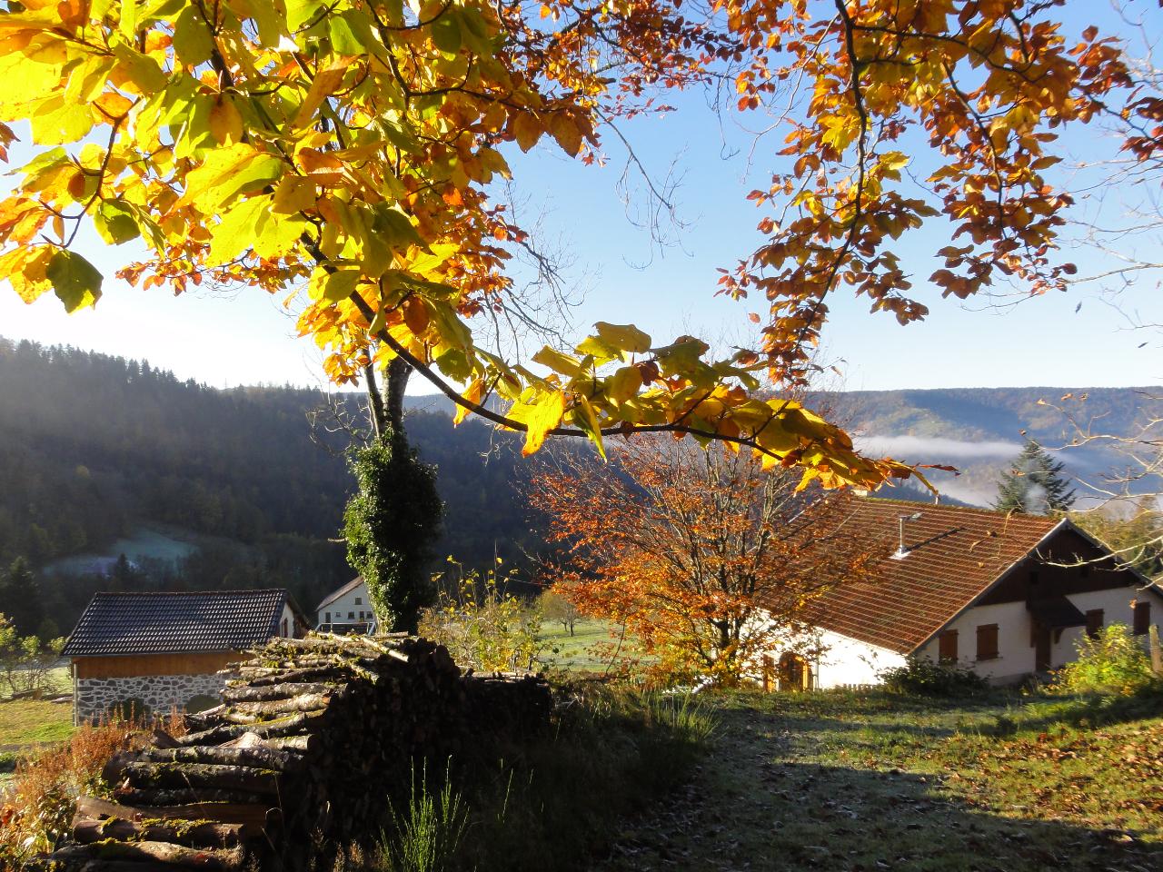 Location Vosges En forêt