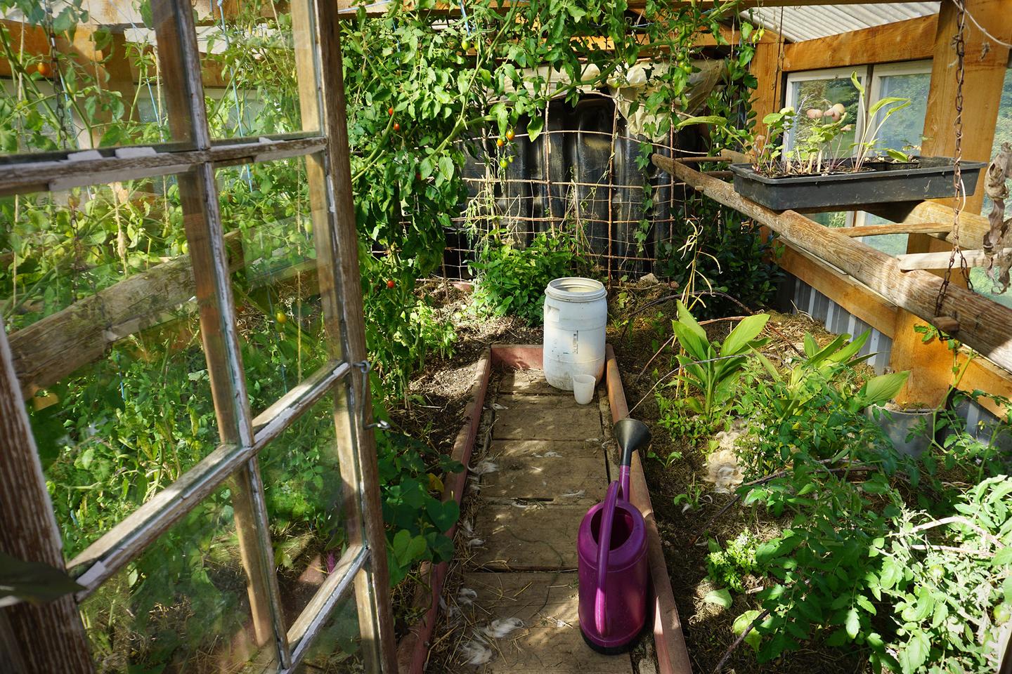 Hôte GreenGo: Gîte « Mon jardin nourricier » - Image 35