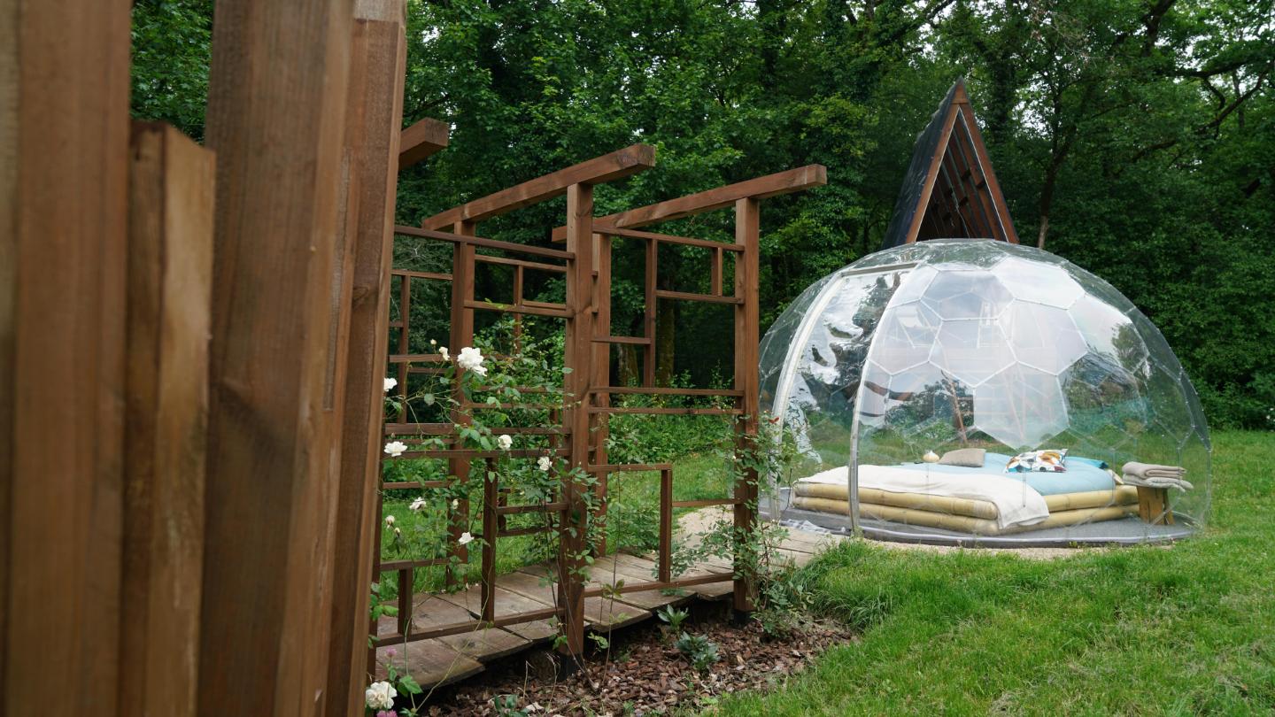 Logement GreenGo: Bulle transparente au coeur d'une clairière avec petit déjeuner - Ô Pays des Bois - Image 6