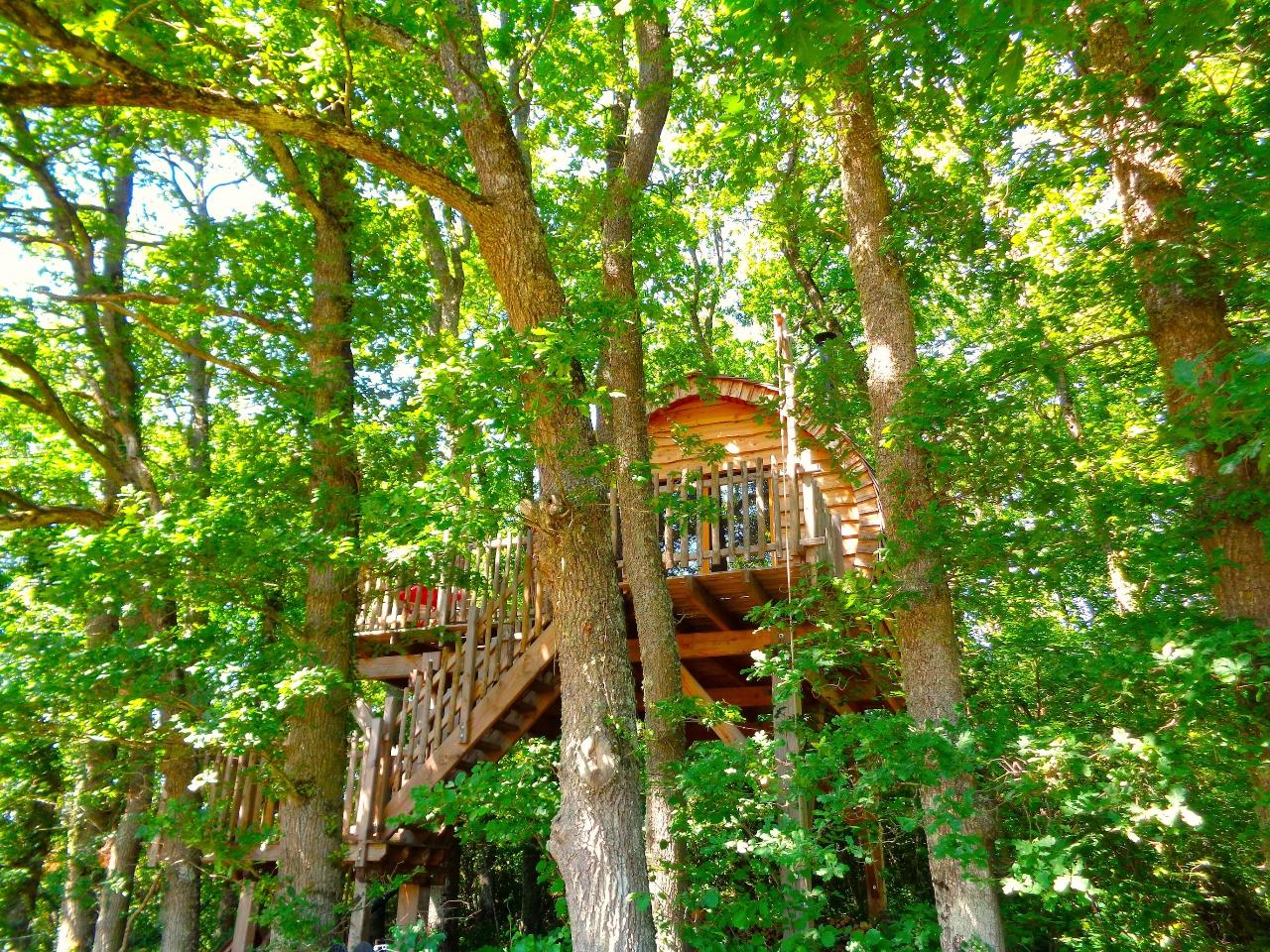 orderedImageAlt_accommodation_default