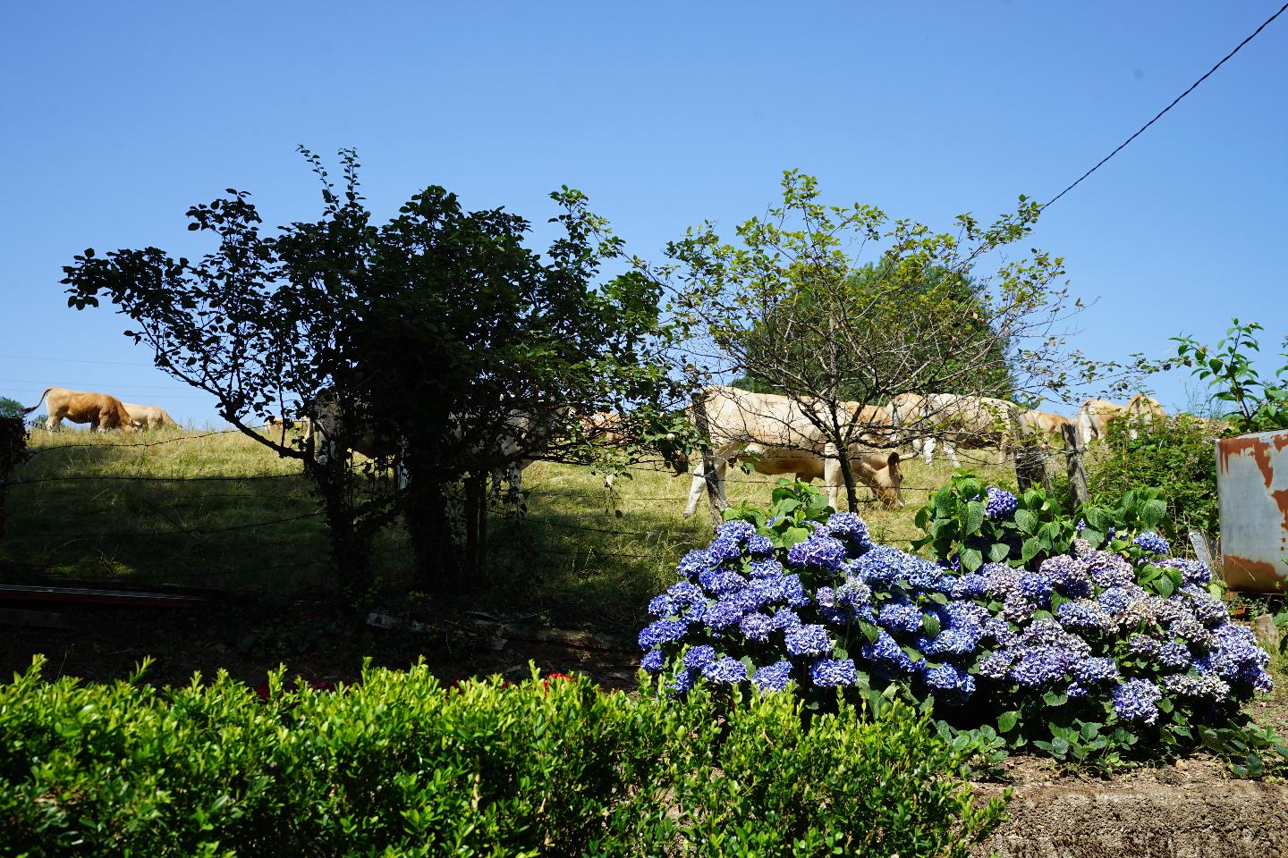 GreenGo location vacances écoresponsables