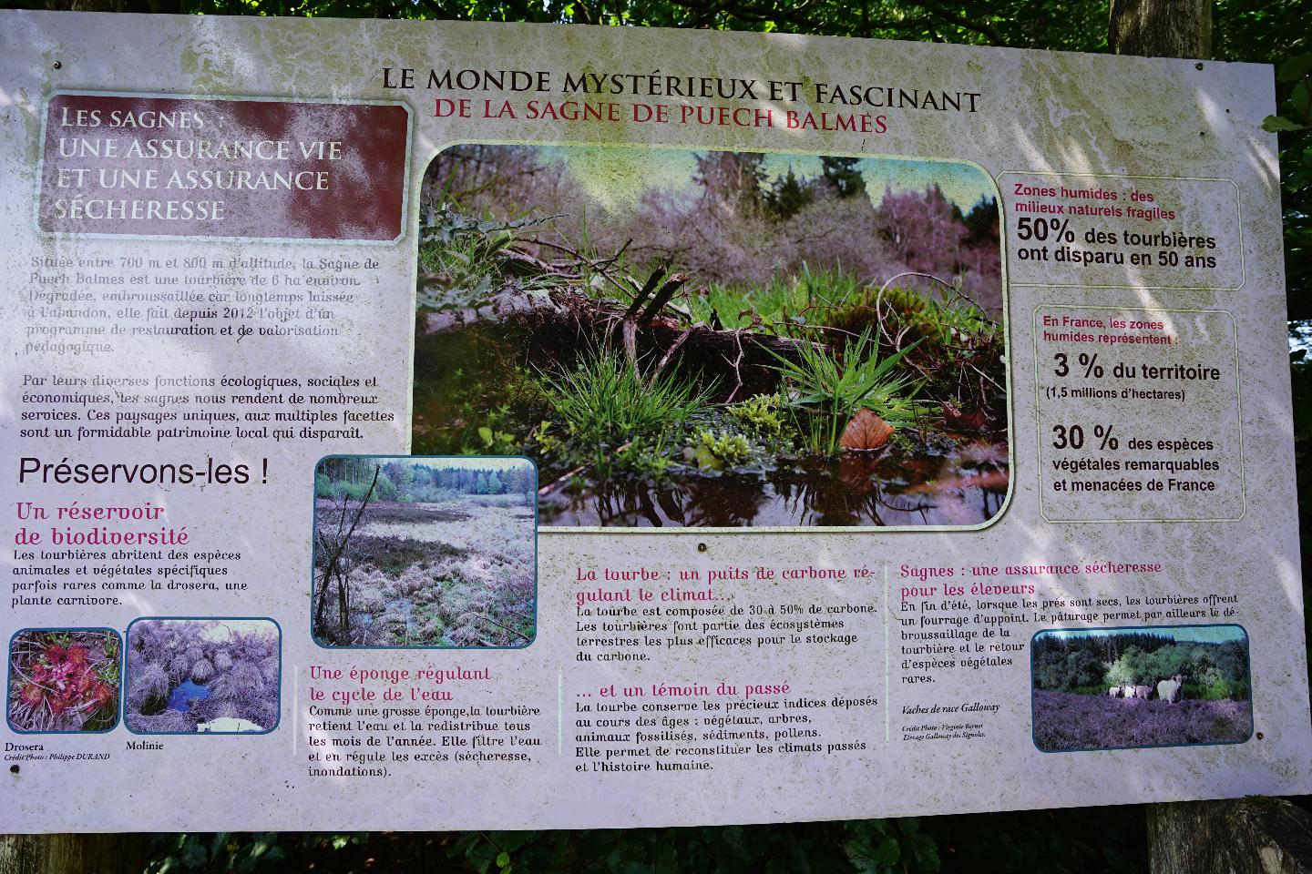 Carte cadeau GreenGo