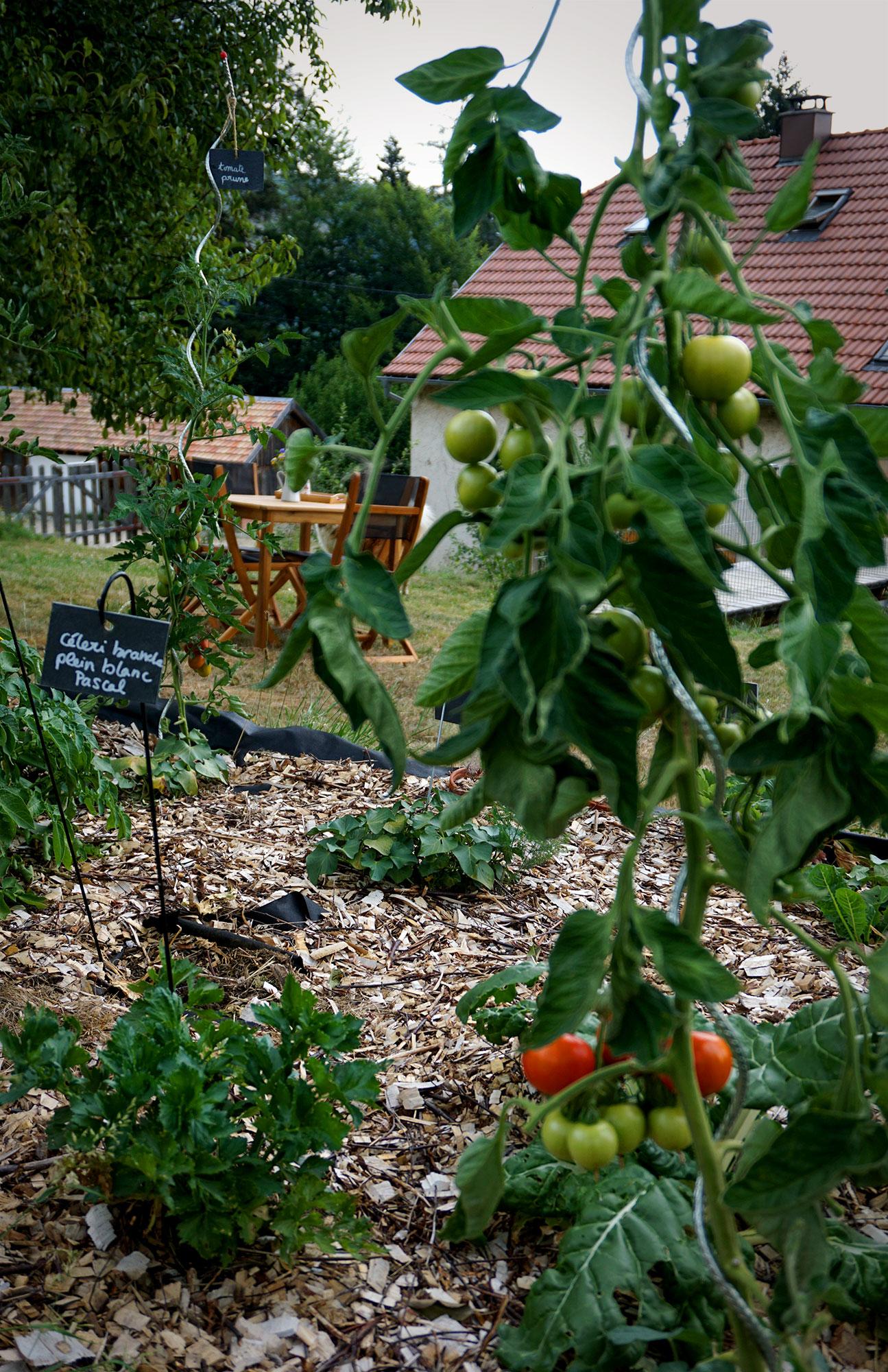 Hôte GreenGo: Gîte « Mon jardin nourricier » - Image 27