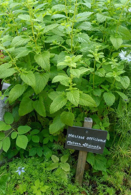 Hôte GreenGo: Le gîte de l'Esquirou - Image 6