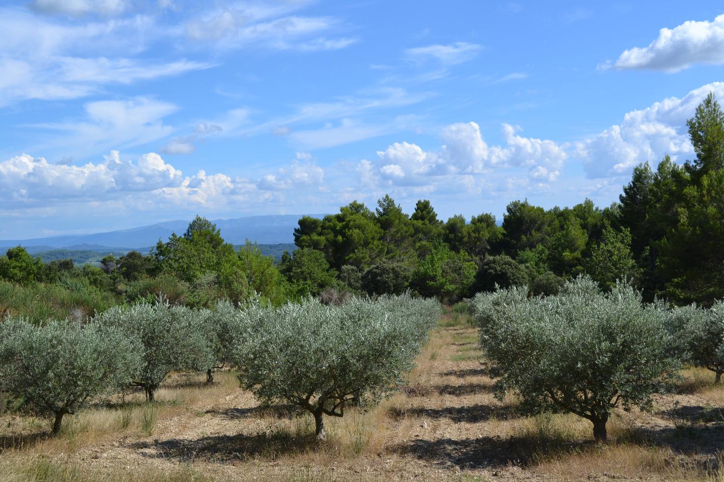 GreenGo La Bastide Neuve