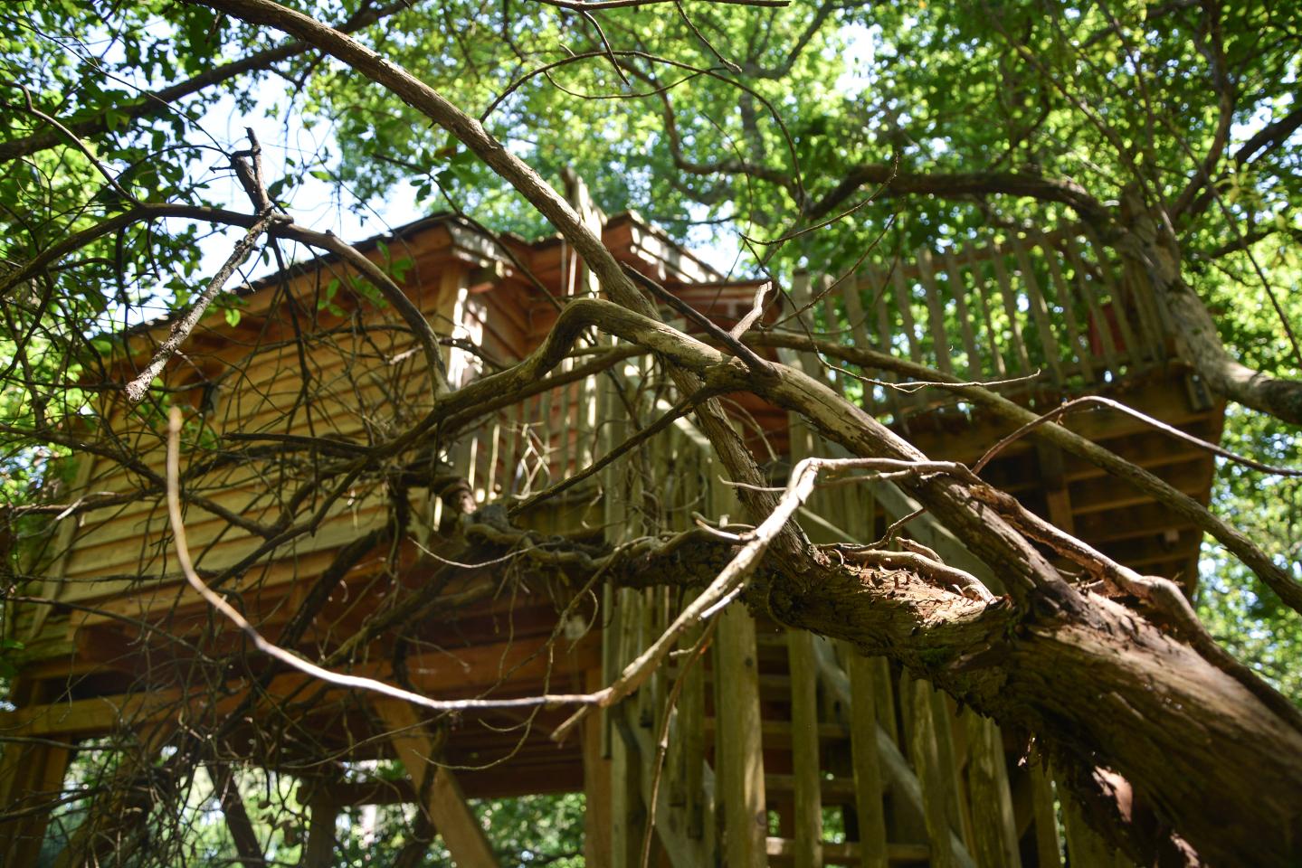 Logement GreenGo: Cabane