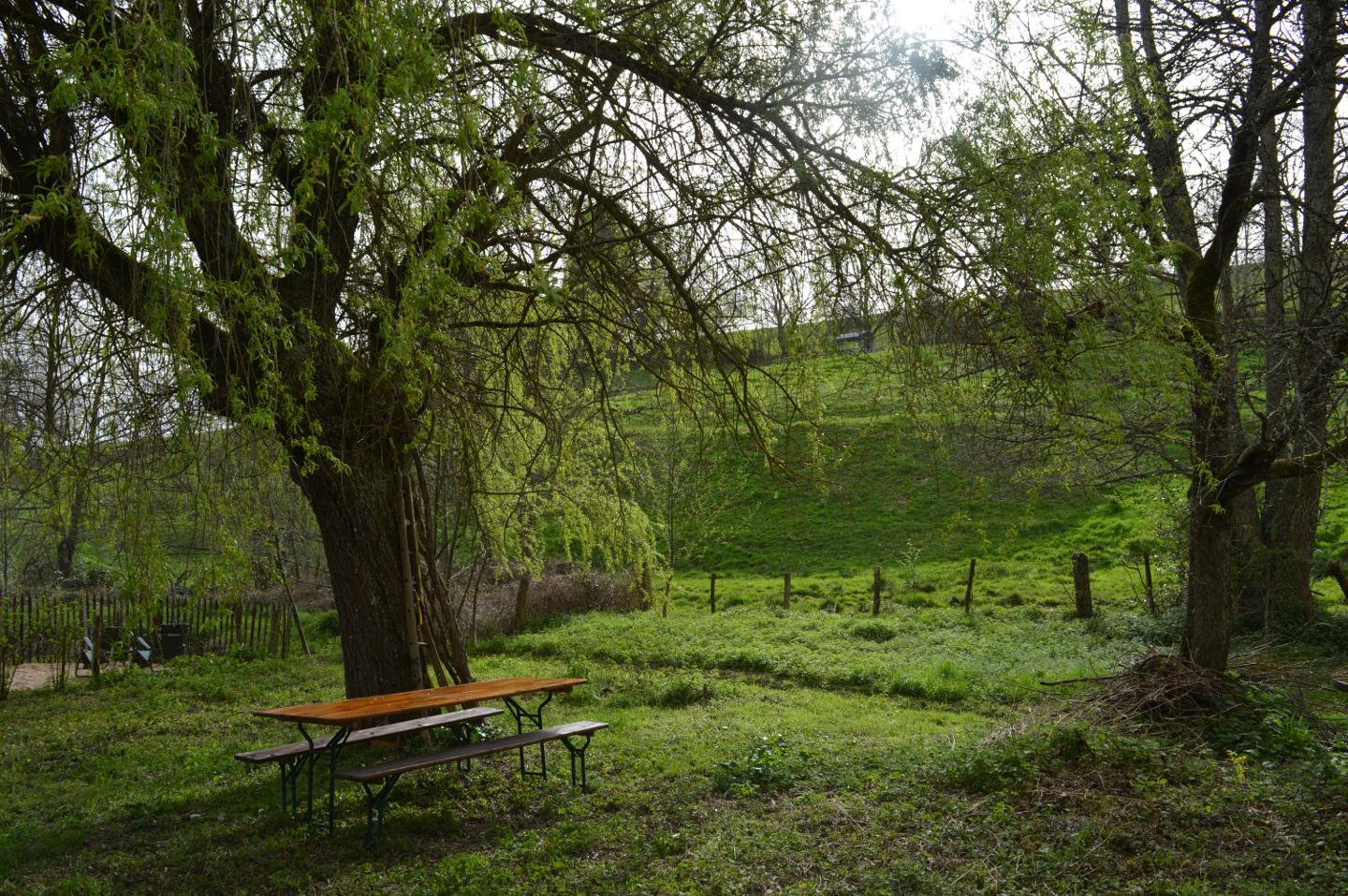 Hôte GreenGo: La Fabrique du Ronçon, maison de campagne - Image 19