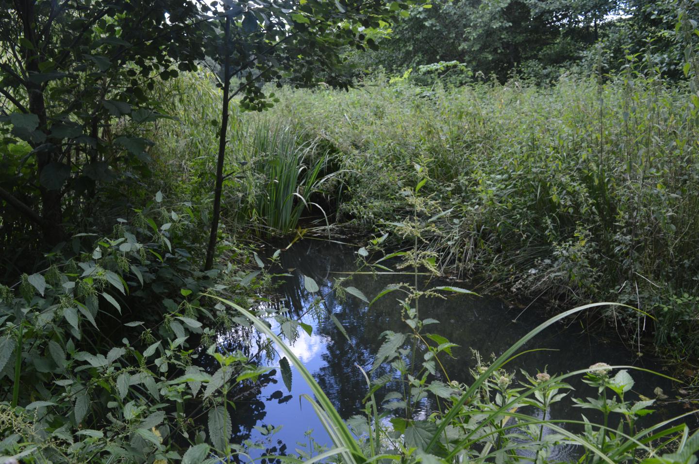 Hôte GreenGo: La Fabrique du Ronçon, maison de campagne - Image 44