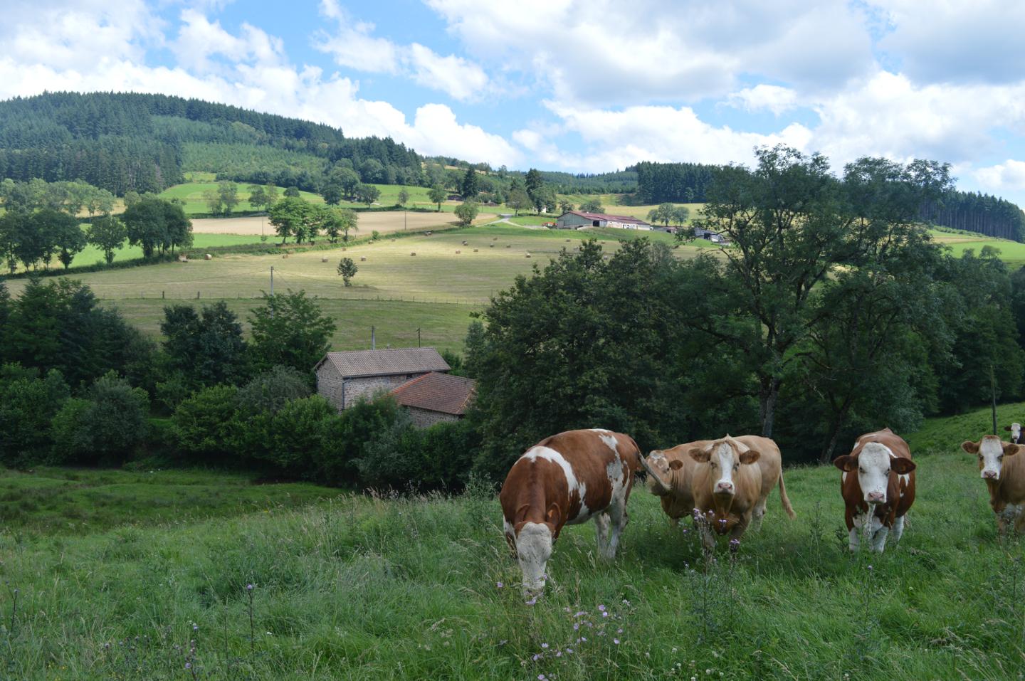 Hôte GreenGo: La Fabrique du Ronçon, maison de campagne - Image 4