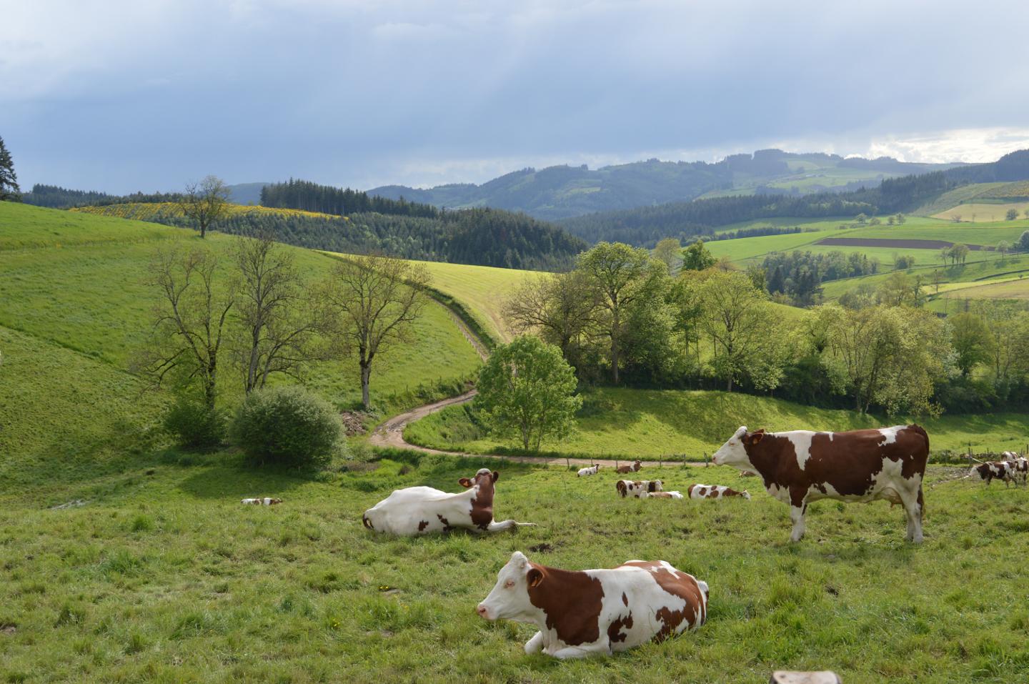 Hôte GreenGo: La Fabrique du Ronçon, maison de campagne - Image 56