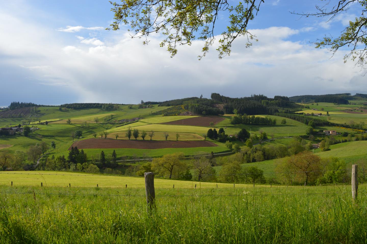 Hôte GreenGo: La Fabrique du Ronçon, maison de campagne - Image 54