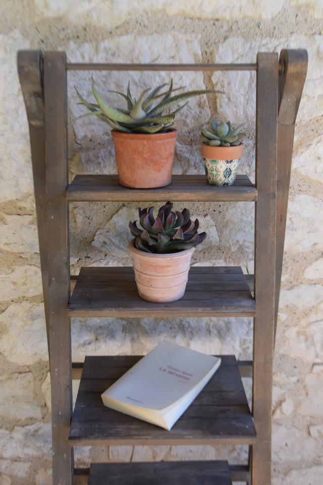 GreenGo location vacances écoresponsables