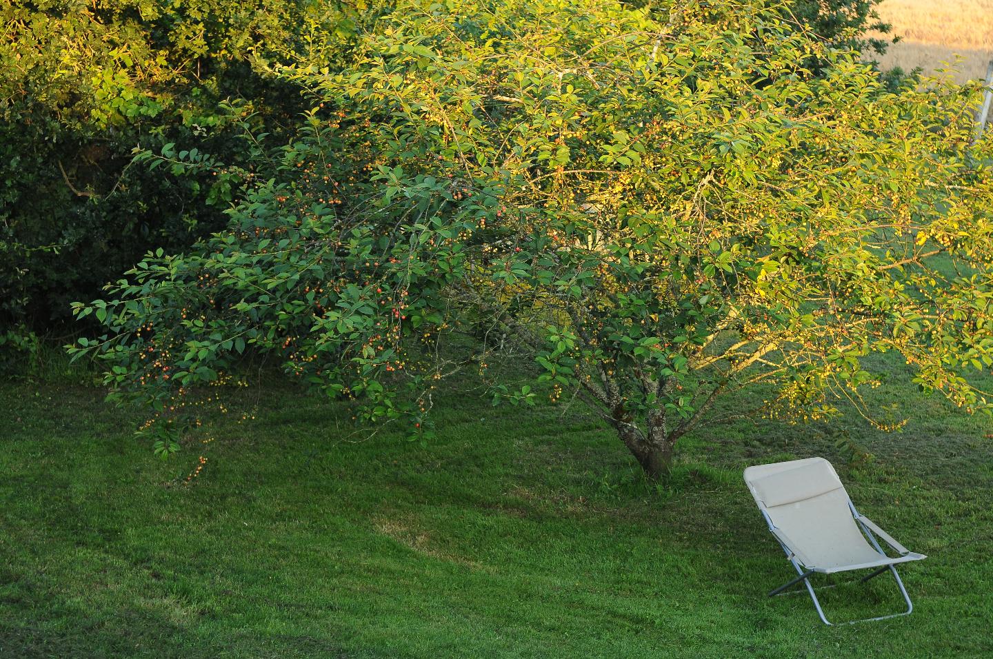GreenGo Gîte Bretagne À la campagne