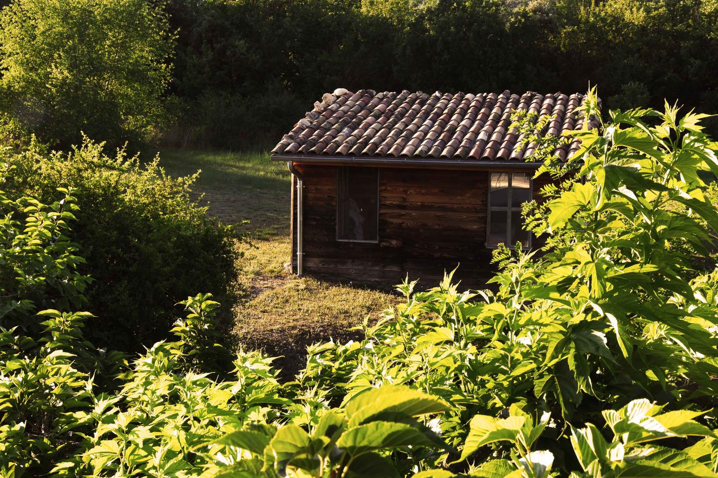 Hôte GreenGo: Cabanon en bois avec Spa extérieur - Image 10