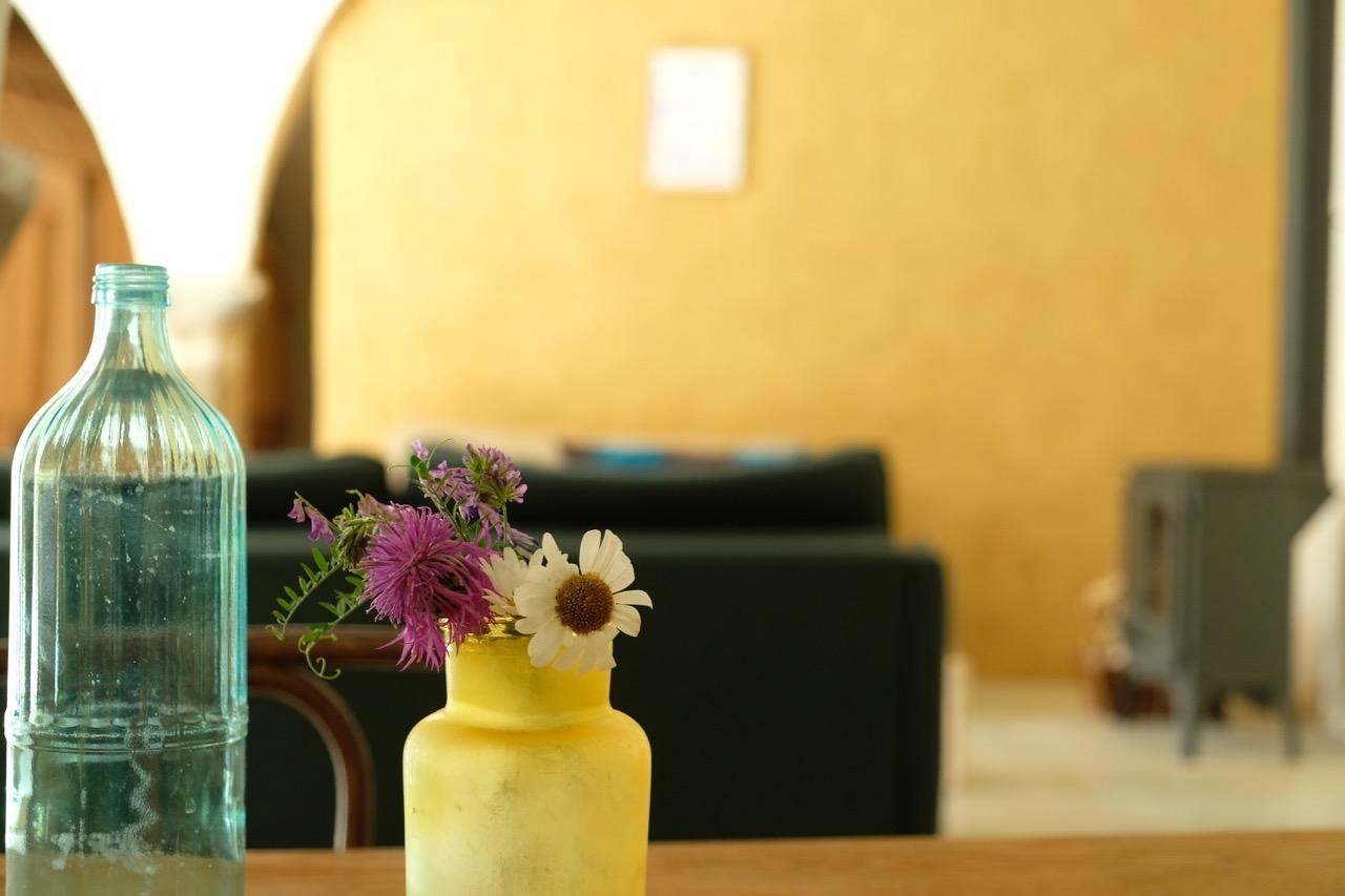 GreenGo Les Écailles