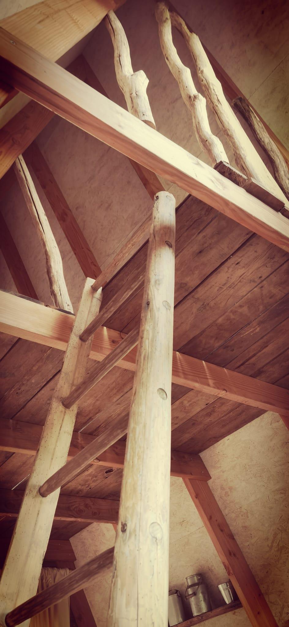 Carte cadeau GreenGo