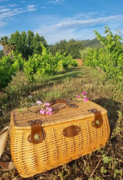 Logement GreenGo: Ecolodge privé dans les vignes - Image 14