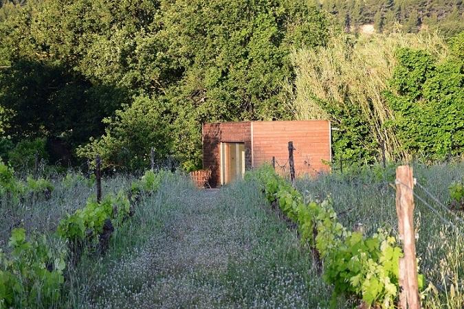 Logement GreenGo: Ecolodge privé dans les vignes - Image 2