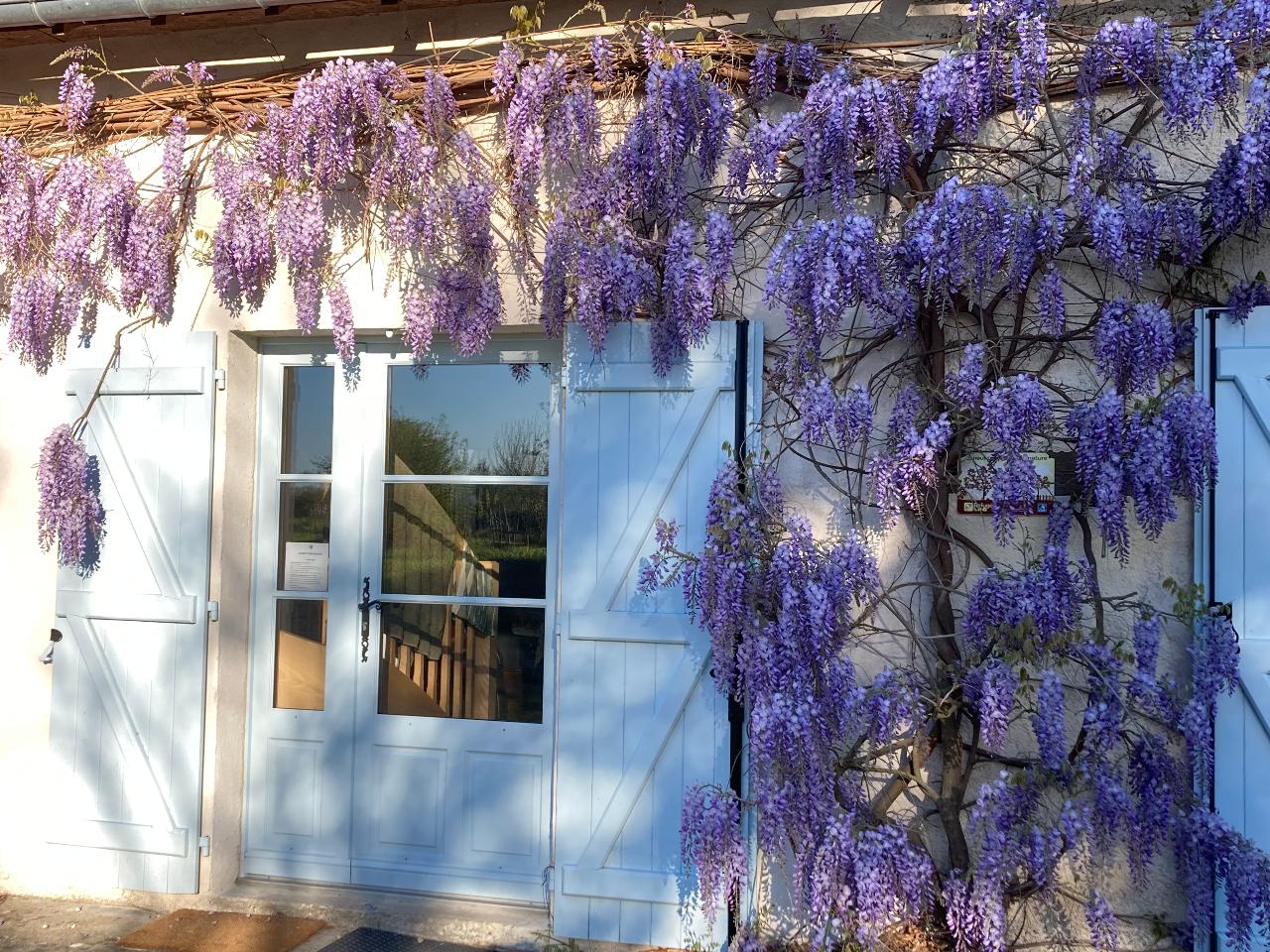Ecogîte Piquemouche