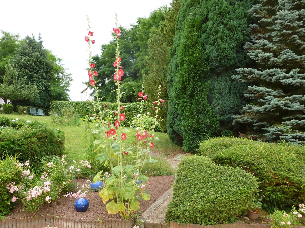 GreenGo La Rose Tremiere